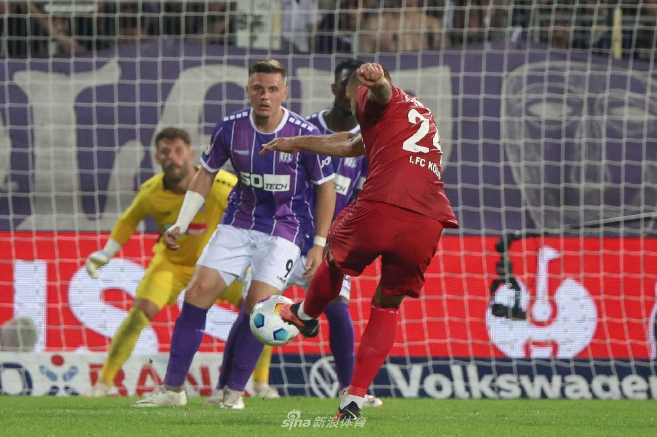 试图组织进 试图组织进